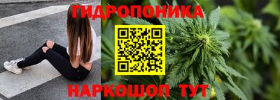 сатива Сланцы