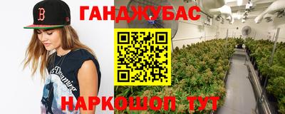 сатива Сланцы