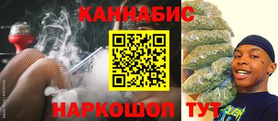 сатива Сланцы