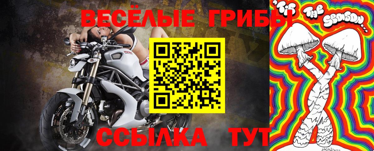 Псилоцибиновые грибы Psilocybine cubensis  дарнет шоп  Ростов Великий  Вход с VPN 